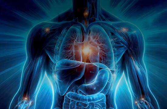 O corpo humano: criação, corrupção e glorificação