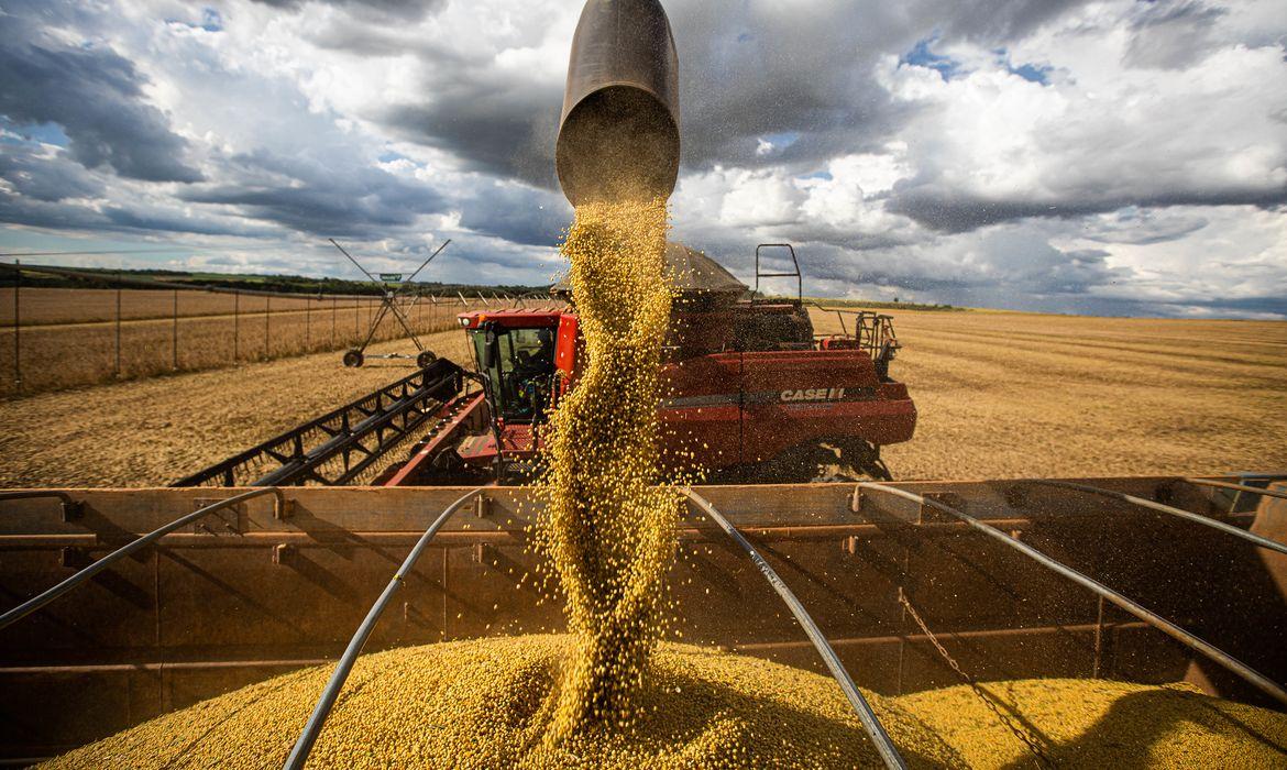 Tarifaço dos EUA vai atingir mais de 36% das exportações do agro brasileiro